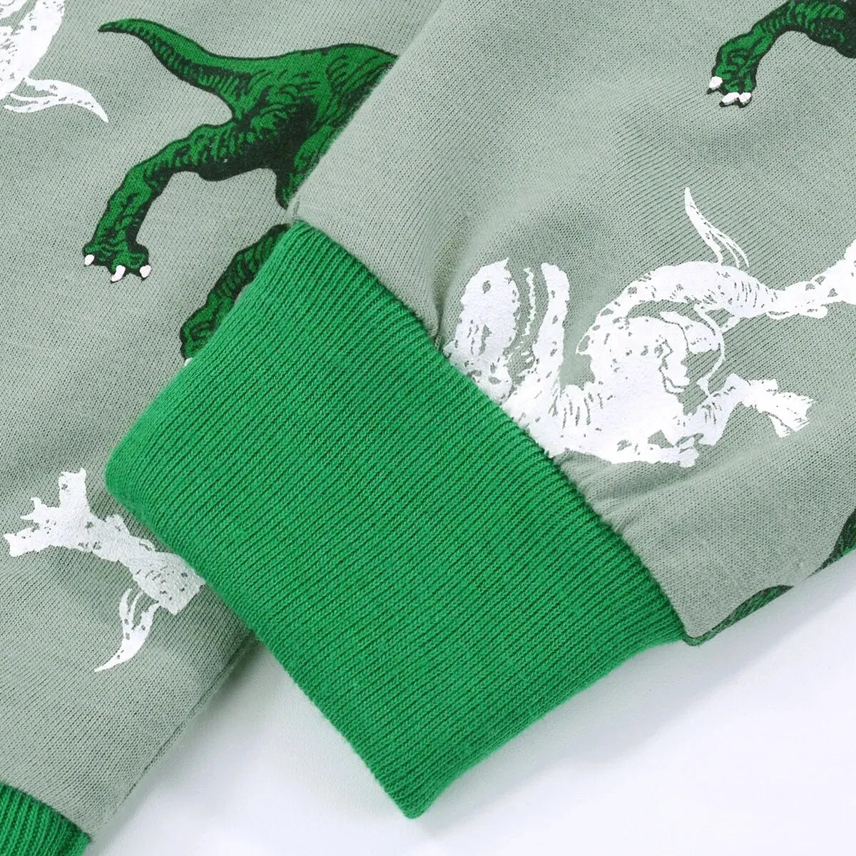 Kids' T-Rex Dinosaur Pajamas Set | Long Sleeve Top & Pants Comfy Casual Boys Loungewear