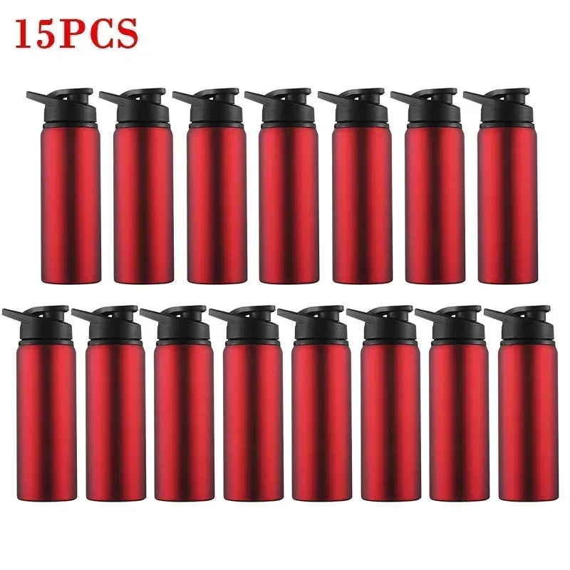 Stainless Steel Bicycle Water Bottle – Portable Outdoor Sports & Travel Kettle, BPA-Free, 700ml