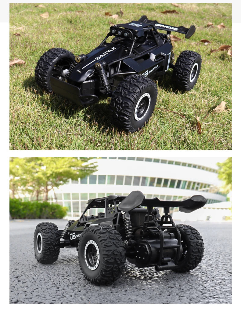 ZWN 1:16 Scale 2.4G 4WD RC Off-Road Climbing Car with LED Lights – Alloy Body for Boys & Girls