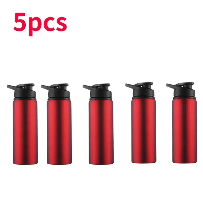 Stainless Steel Bicycle Water Bottle – Portable Outdoor Sports & Travel Kettle, BPA-Free, 700ml