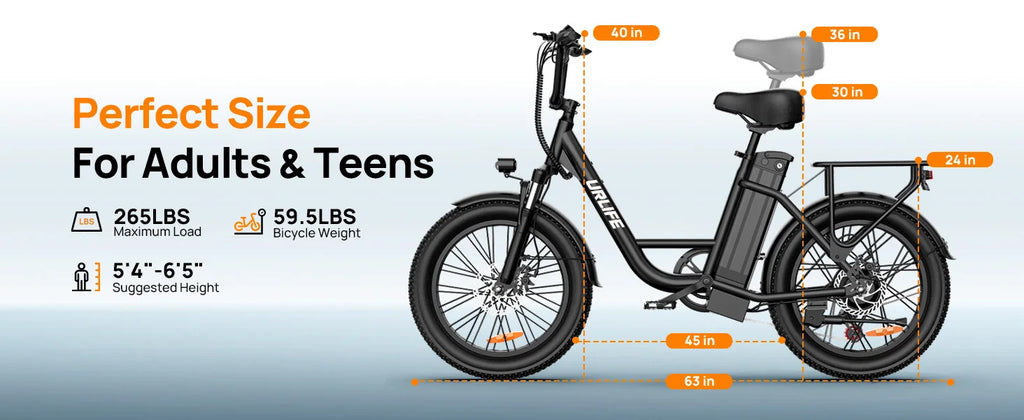 URLIFE E20 1000W Fat Tire Electric Bike — 48V 13Ah, 28MPH, 80-Mile Range, 7-Speed, Dual Disc Brake