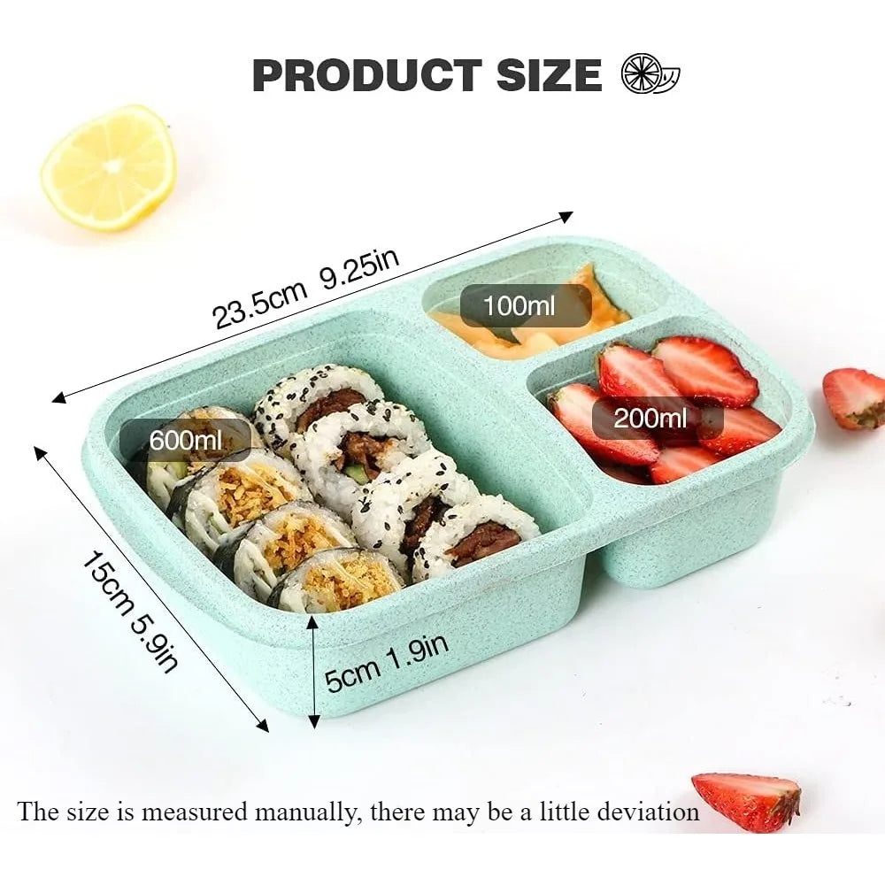 3-Compartment Bento Lunch Box — Kids & Adults