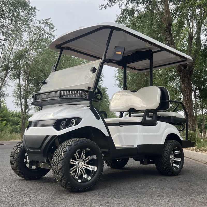Electric Golf Cart Off-Road — Cargo Box, Off-Road Tires & Upholstered Seat