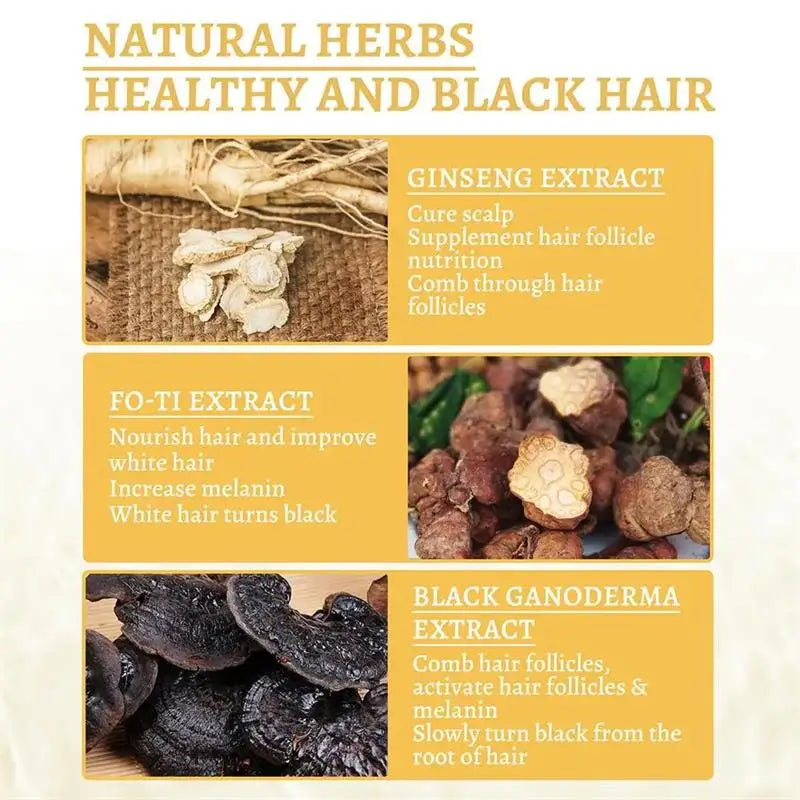 Herbal Anti-grey Treatment Hair Dye Shampoo White To Black Permanent Repair Natural Color Nourish Scalp Hair Care Products