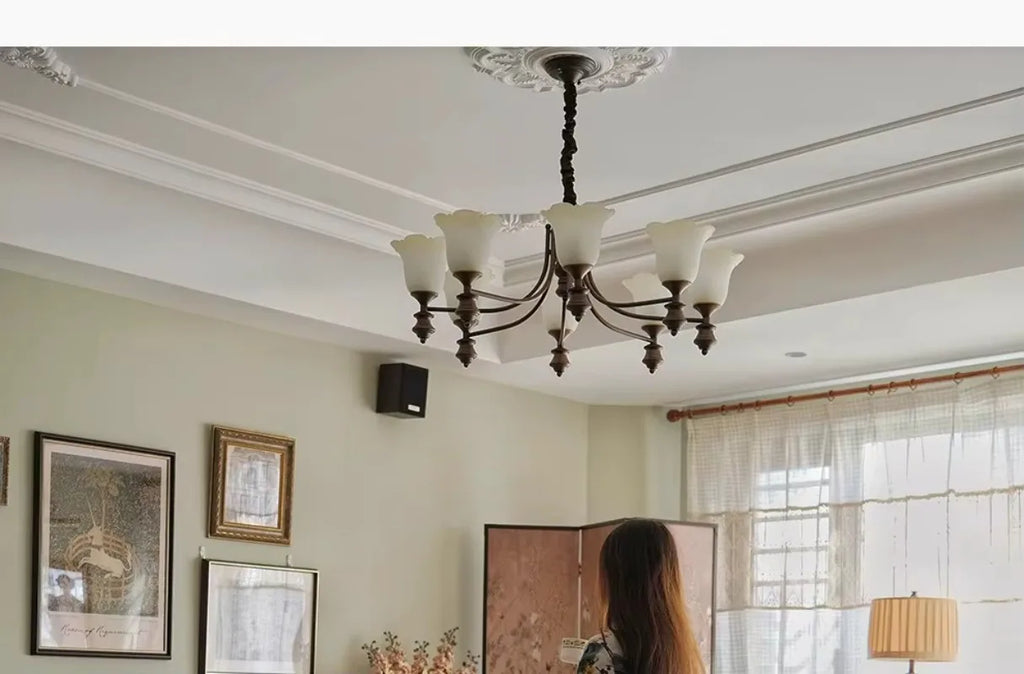 Plush Area Rug – Luxury Soft Carpet for Living Room, Bedroom & Dining Room