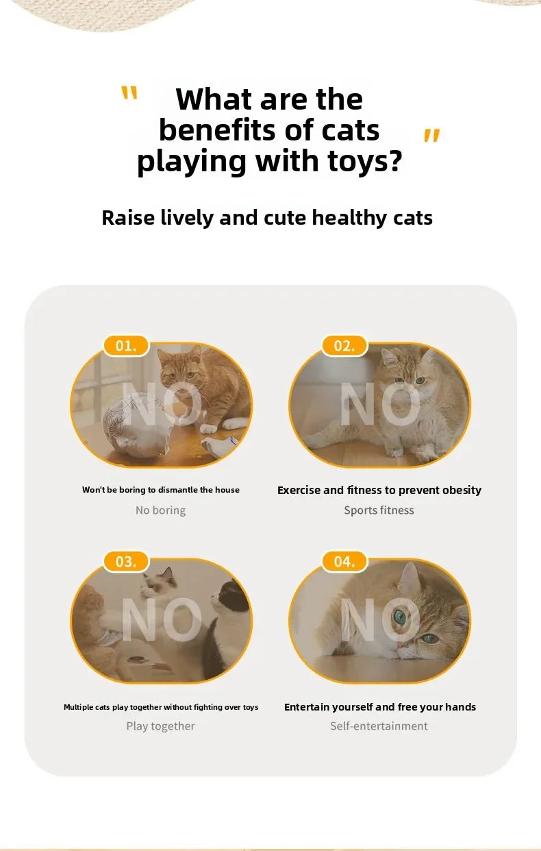 Automatic Electric Cat Turntable Interactive Toy