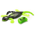 Wall Climbing RC Gecko Toy – Electric Remote Control Lizard Wall Crawler for Kids