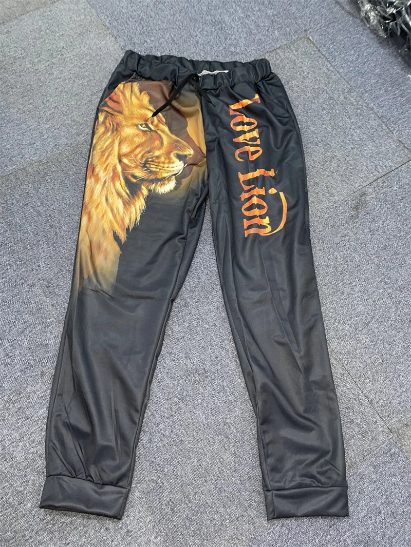 Men's 3D Lion Print Zip-Up Hoodie & Elastic Waist Pants Tracksuit Set