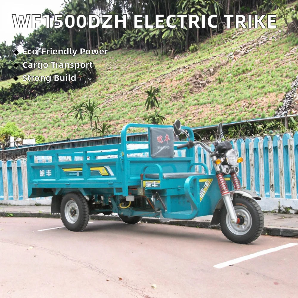 Electric Cargo Tricycle 3000W — Motorized 3-Wheel Adult Bike, EEC/DOT Certified