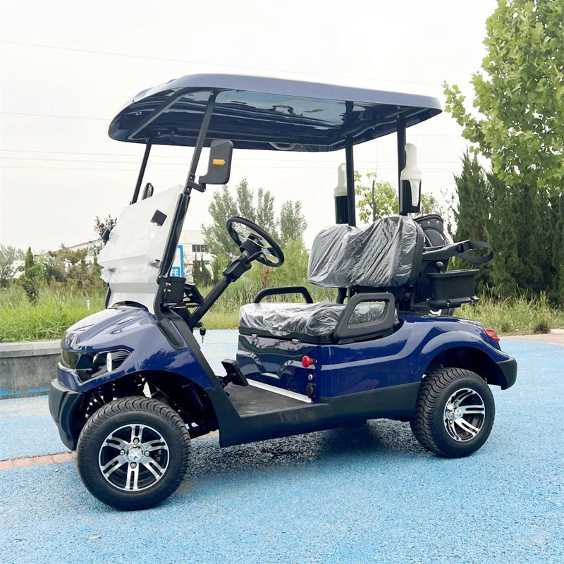 Electric Golf Cart Off-Road — Cargo Box, Off-Road Tires & Upholstered Seat