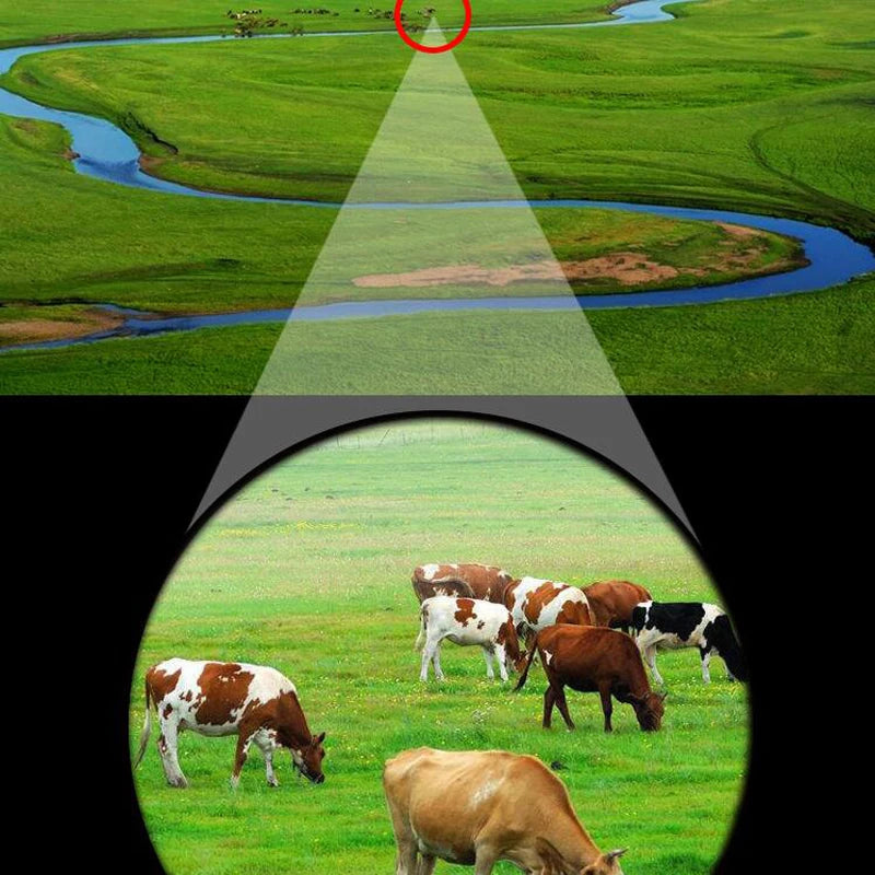 20x25 Compact Binoculars for Outdoor Viewing