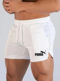 Men's Mesh Quick-Dry Beach Shorts — Lightweight Summer Swim Shorts