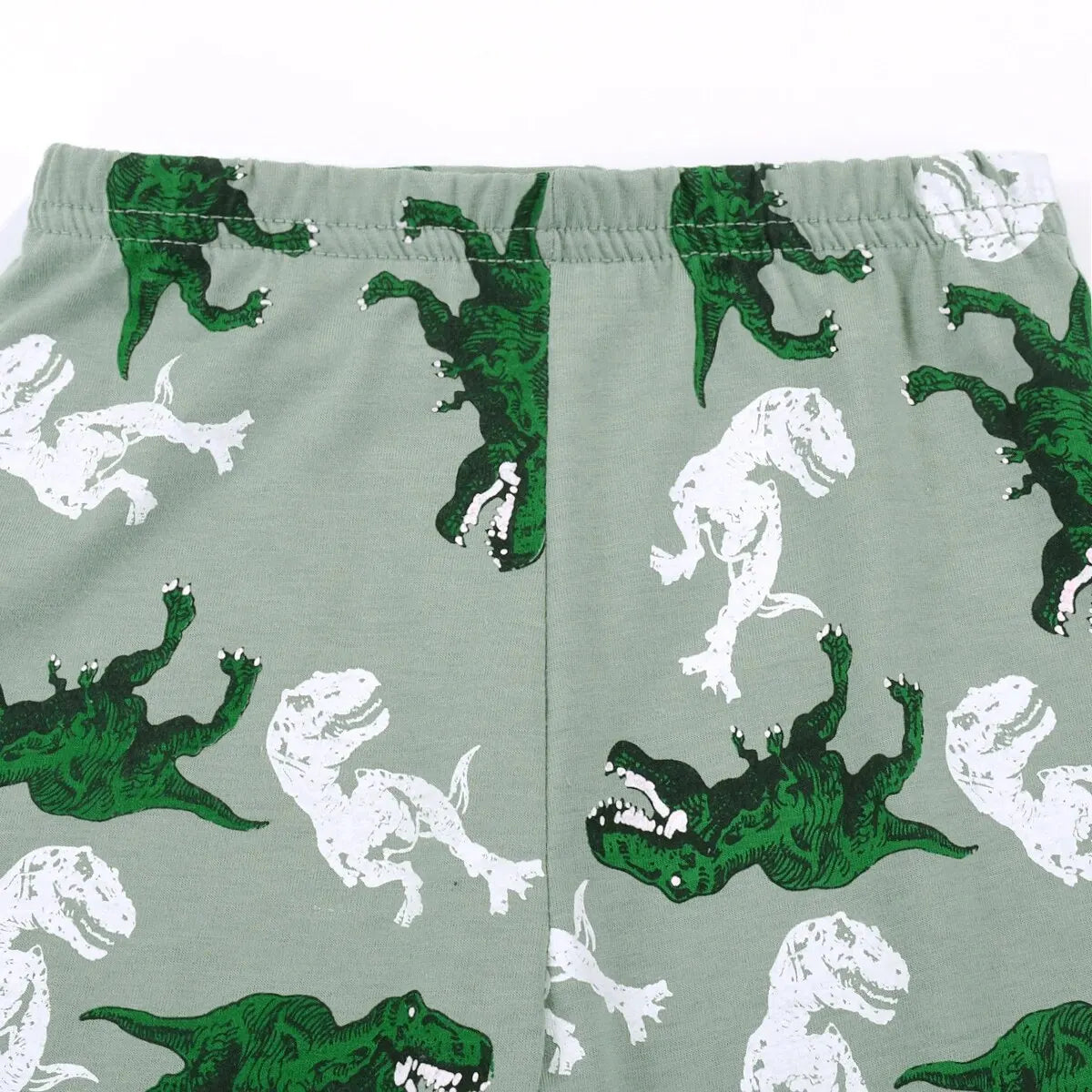 Kids' T-Rex Dinosaur Pajamas Set | Long Sleeve Top & Pants Comfy Casual Boys Loungewear