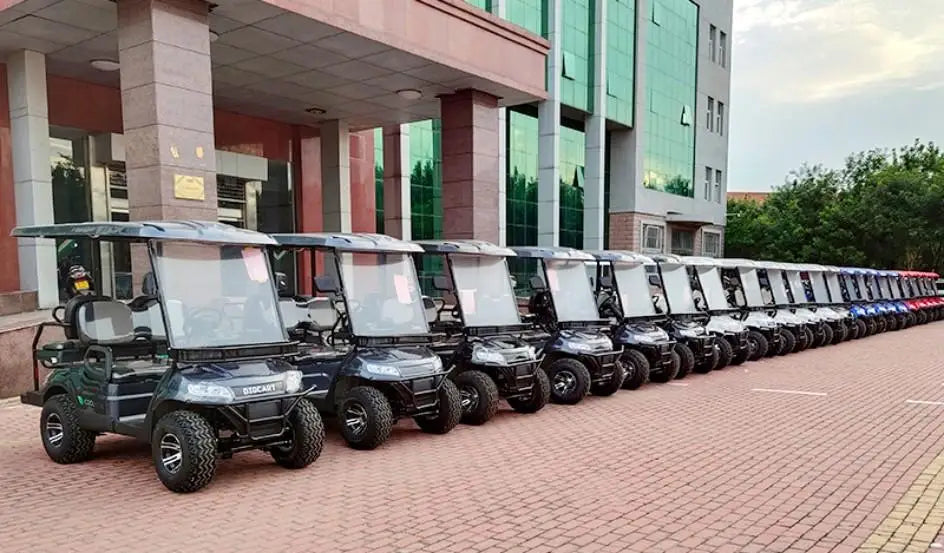 Electric Golf Cart Off-Road — Cargo Box, Off-Road Tires & Upholstered Seat