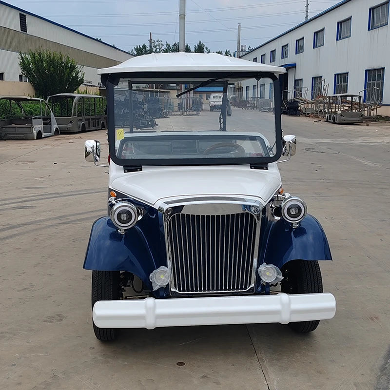 4 / 6 Seat Electric Golf Cart — Club Car Style Off-Road Electric Carrito with G-Wagon Seats & Petrol Option