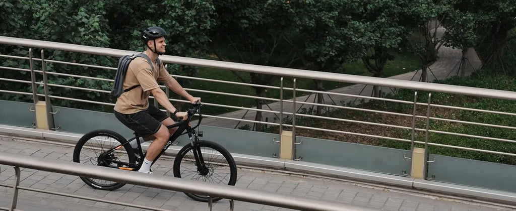 Qlife Racer Electric Bike for Adults – 21-Speed Mountain Ebike, 750W Motor, 40-Mile Range