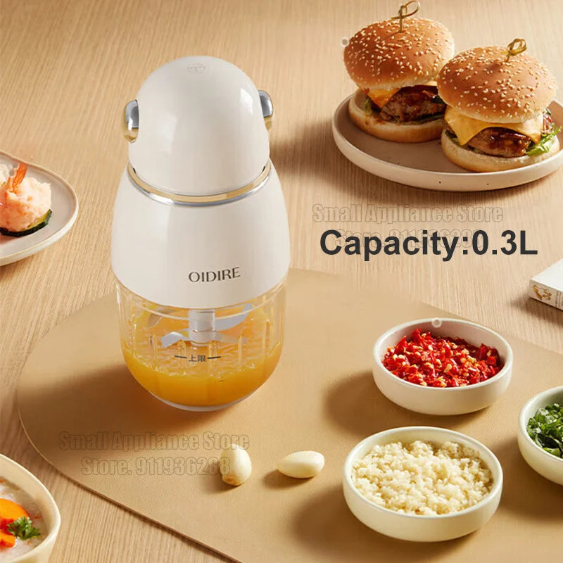 OIDIRE 150W Electric Meat Grinder & Food Chopper – 0.3L, Vegetable Cutter & Kitchen Processor (BFS3)