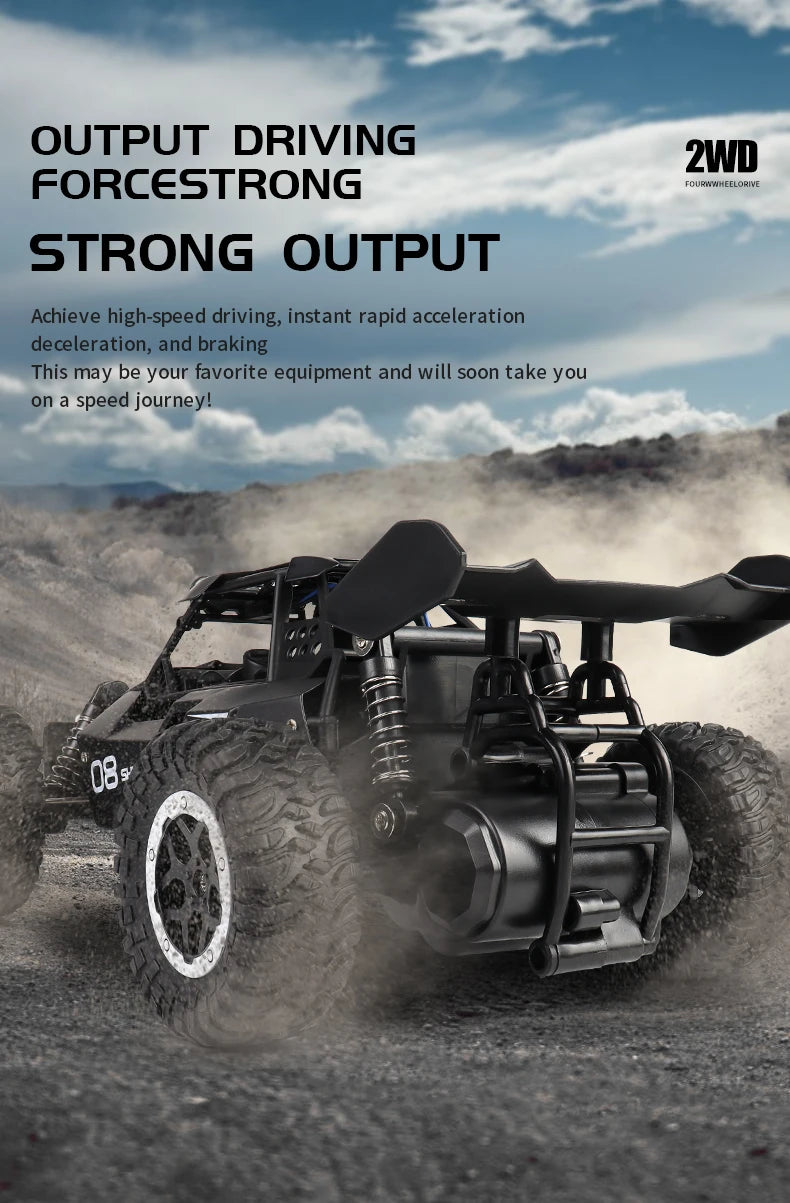 ZWN 1:16 / 1:20 Scale 2WD RC Off-Road Climbing Car with LED Light – Outdoor Kids Gift