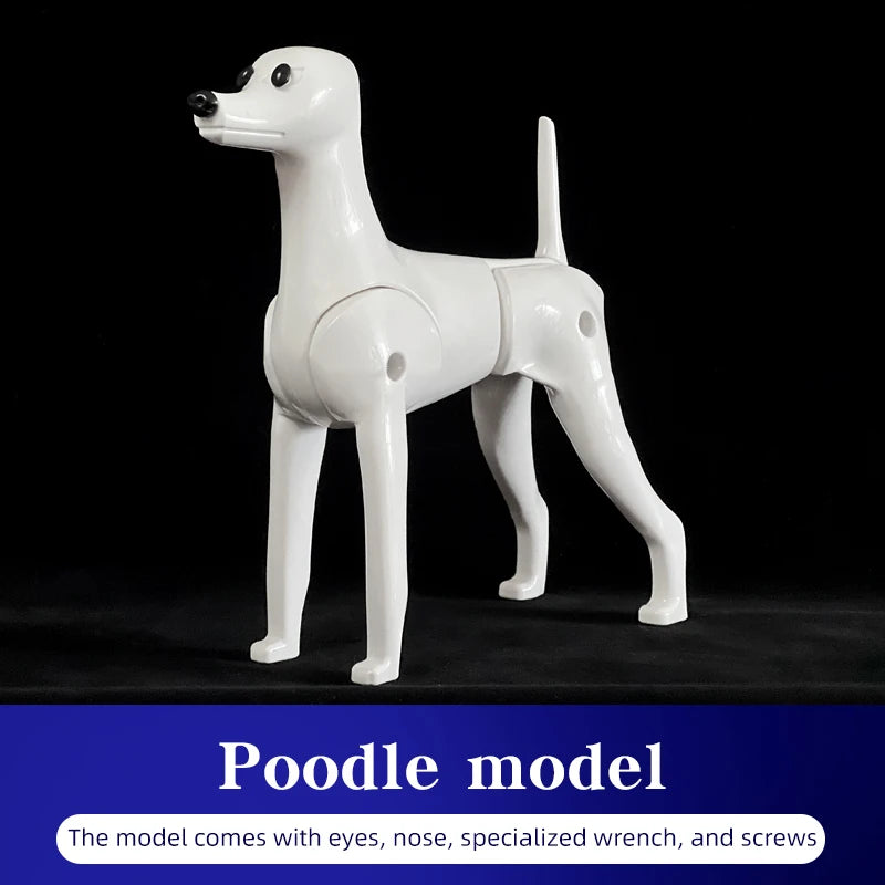 Full-Body Poodle Grooming Practice Model
