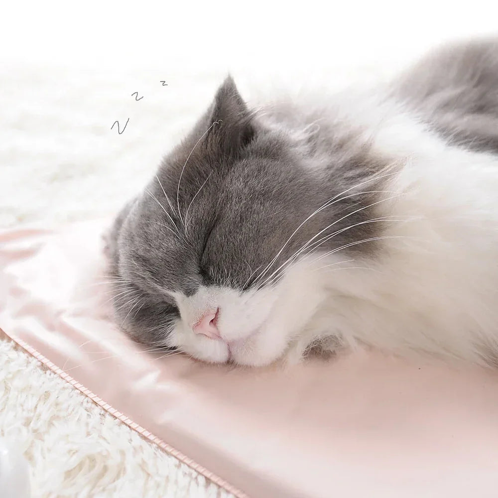 Winter Pet Heating Blanket – Waterproof Wearable Heated Cat & Dog Mattress, Indoor Warming Pad