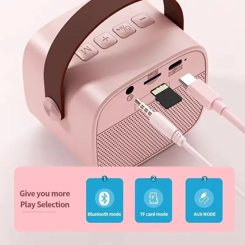 Wireless Dual Microphone Karaoke Machine — Bluetooth HIFI Speaker