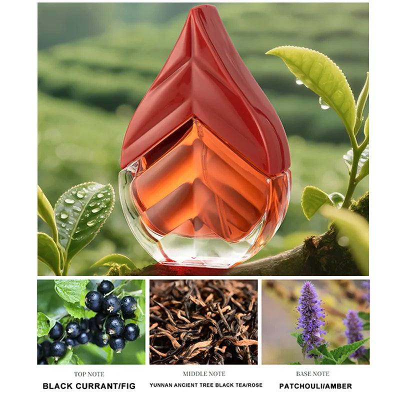 Black Tea & Green Tea Unisex EDT 50ml – Natural Niche Fragrance Spray