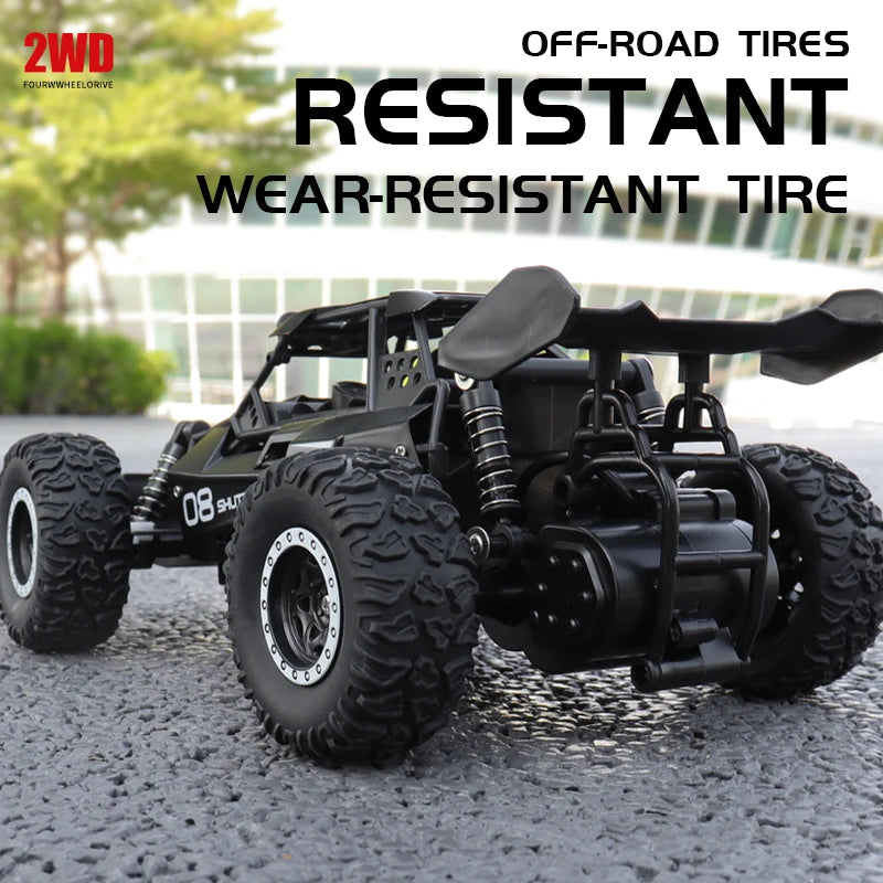 ZWN DK087 1:16 Scale 2WD RC Off-Road Climbing Car with LED Lights – Boys & Girls Gift