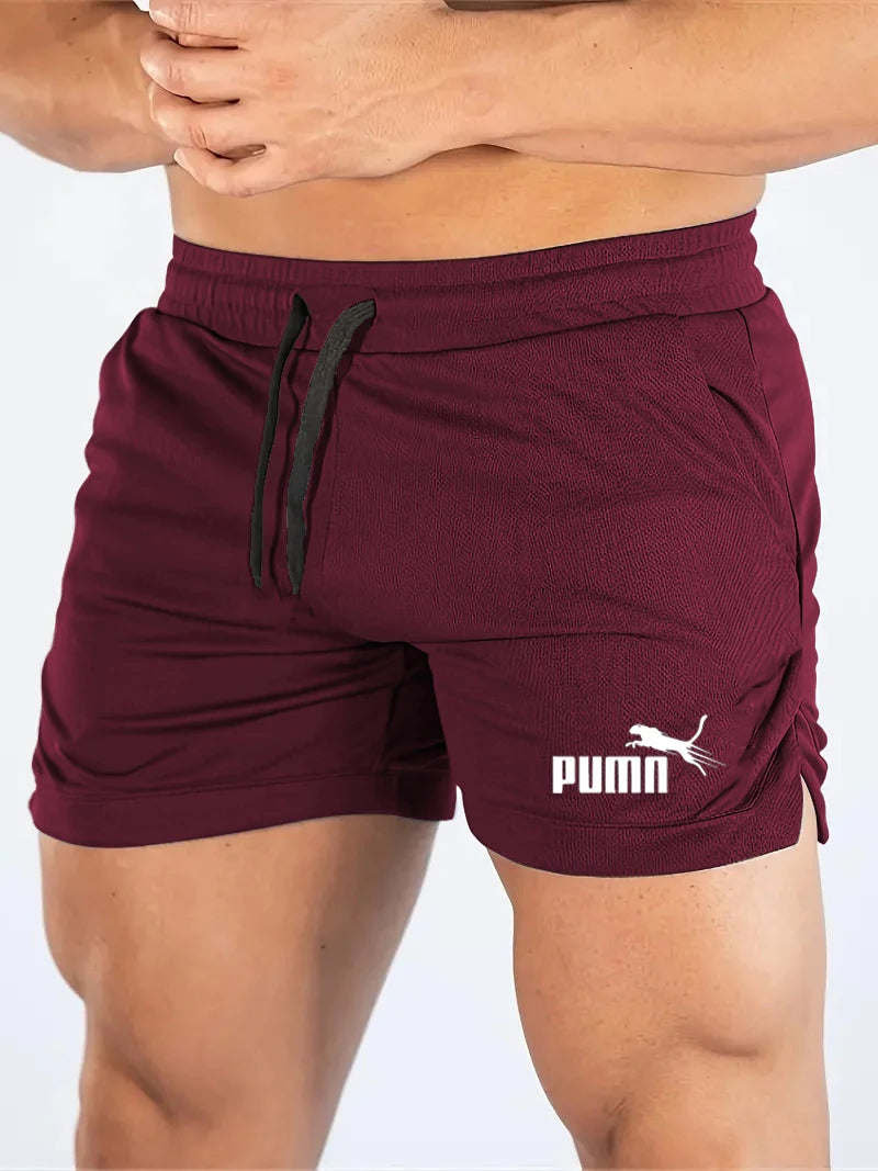 Men's Mesh Quick-Dry Beach Shorts — Lightweight Summer Swim Shorts