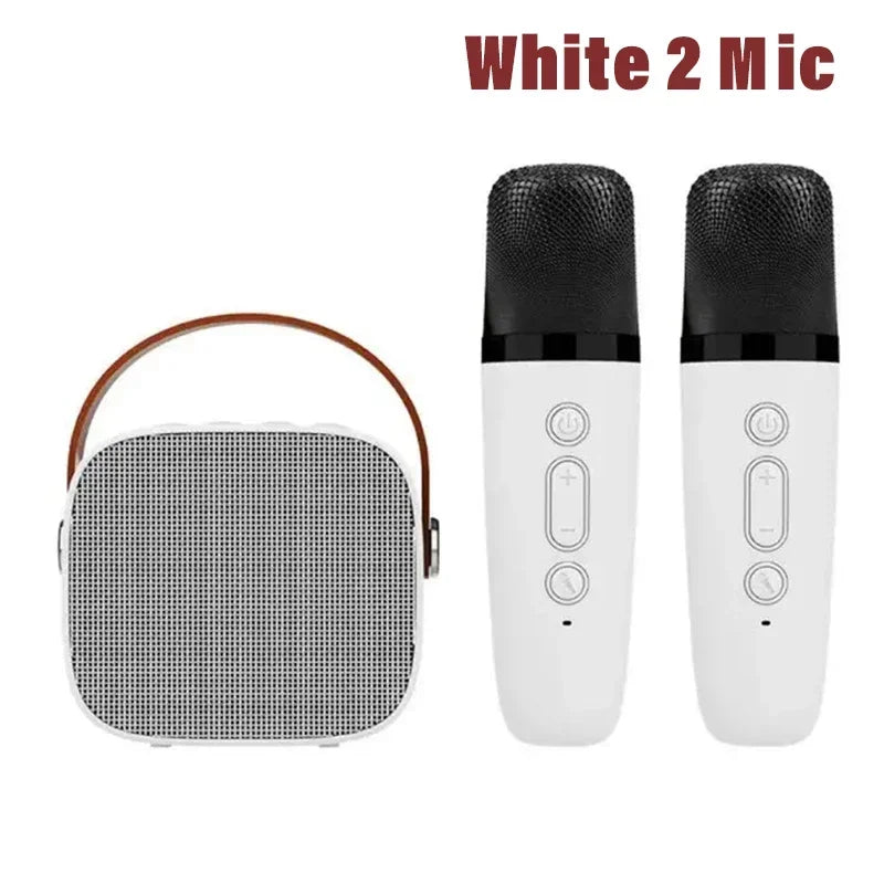 Wireless Dual Microphone Karaoke Machine — Bluetooth HIFI Speaker