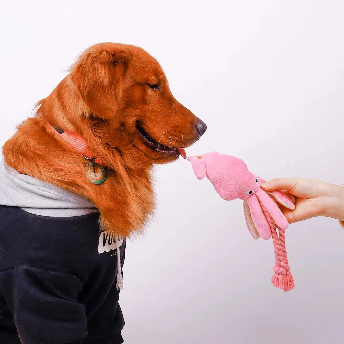 Octopus Plush Rope Toy — Interactive & Bite-Resistant