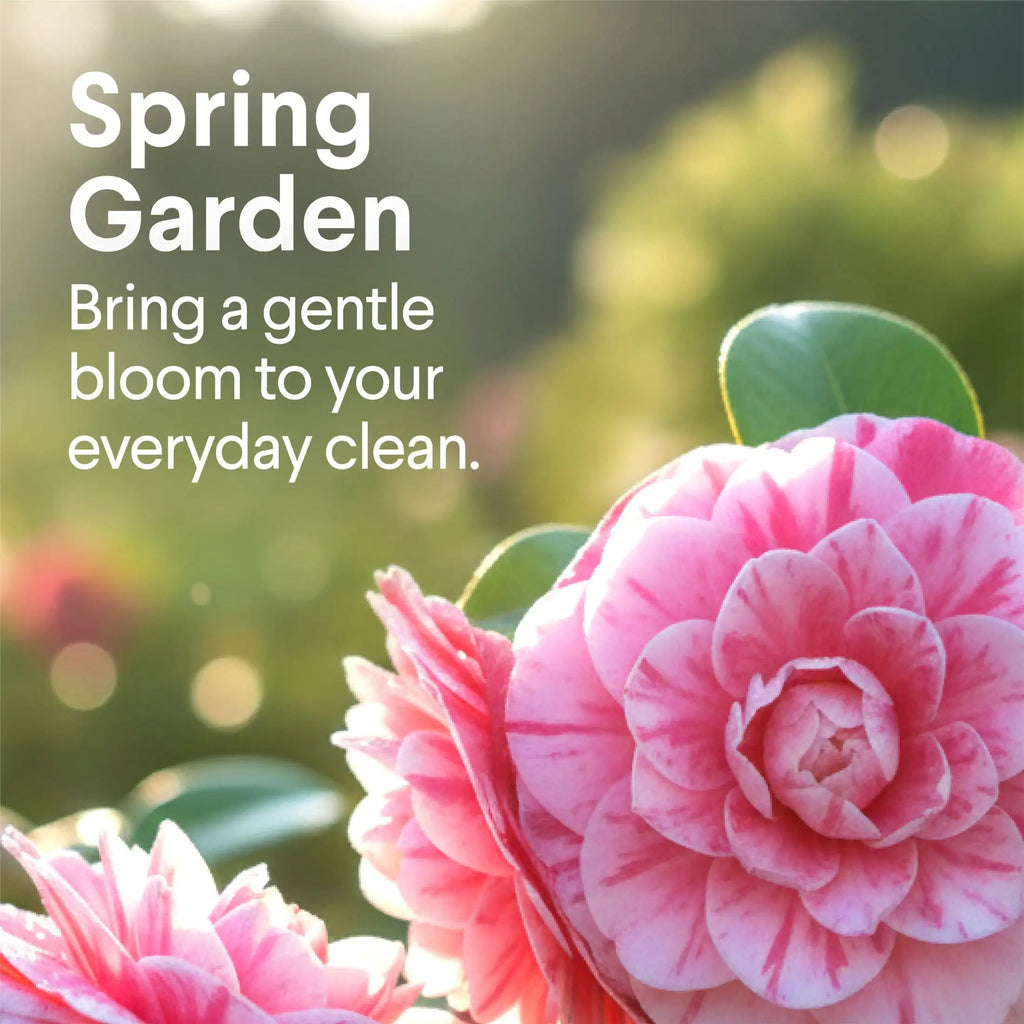 A Clorox Clean Without the Bleach — All Purpose Multi-Surface Cleaner Spray | Spring Garden Scent, Cuts Grease & Grime, Kitchen & Bathroom