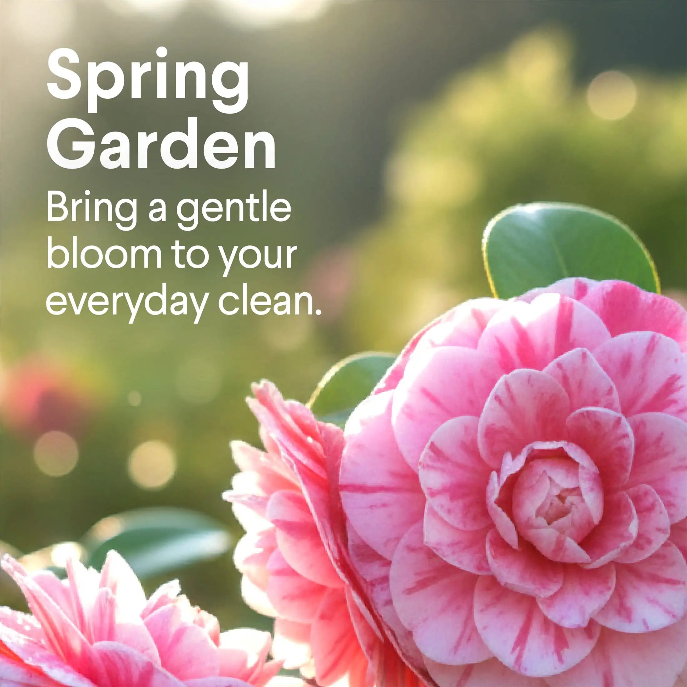 A Clorox Clean Without the Bleach — All Purpose Multi-Surface Cleaner Spray | Spring Garden Scent, Cuts Grease & Grime, Kitchen & Bathroom