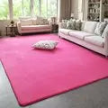 VIKAMA Solid Color Coral Velvet Rug – Soft Non-Slip Kids Play Mat & Bedroom Carpet