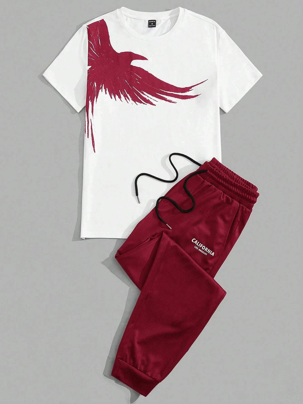 Men's Eagle Print T-Shirt & Shorts Sport Set – Casual 2-Piece Leisure Outfit