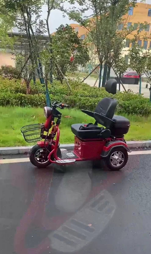 4-Wheel Mobility Scooter – 600W Motor, 40–50 km Range