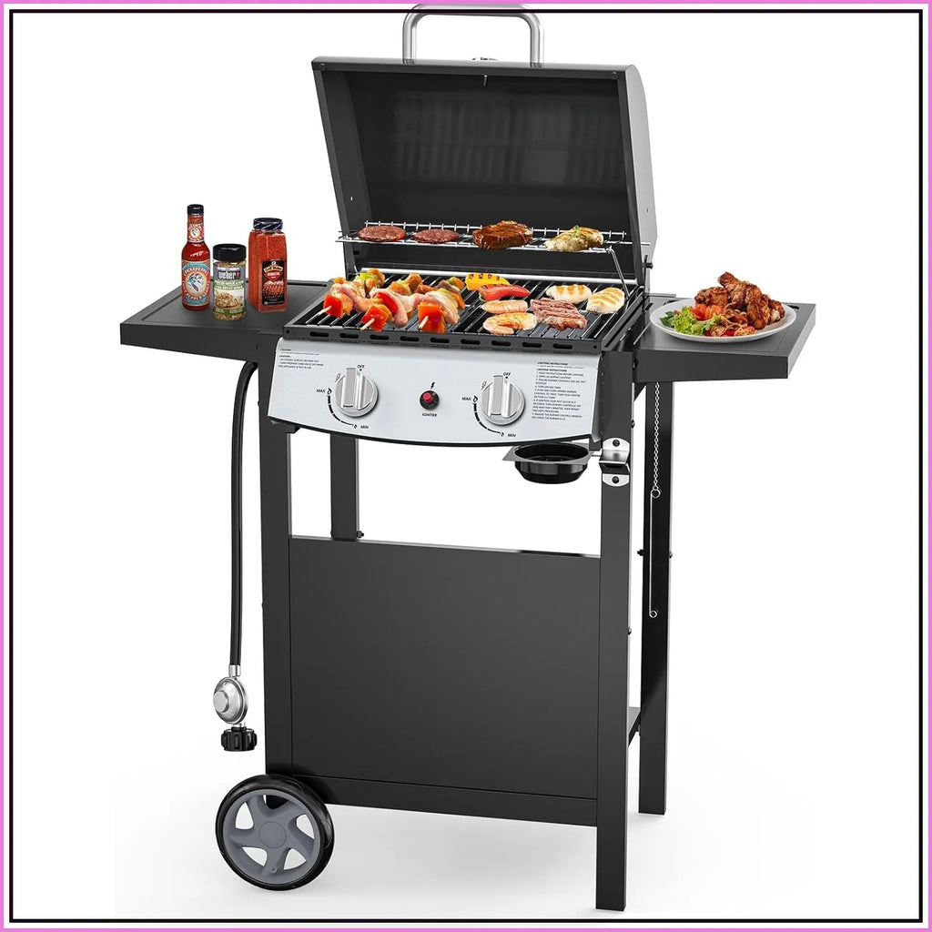 2-Burner Propane Gas BBQ Grill | 20,000 BTU, Stainless Steel, Side Shelves, Wheels, Piezo Ignition, Portable Outdoor Grill for Patio, Backyard & Camping