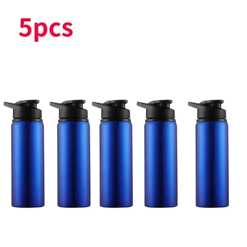 Stainless Steel Bicycle Water Bottle – Portable Outdoor Sports & Travel Kettle, BPA-Free, 700ml