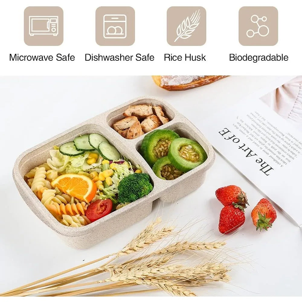 3-Compartment Bento Lunch Box — Kids & Adults