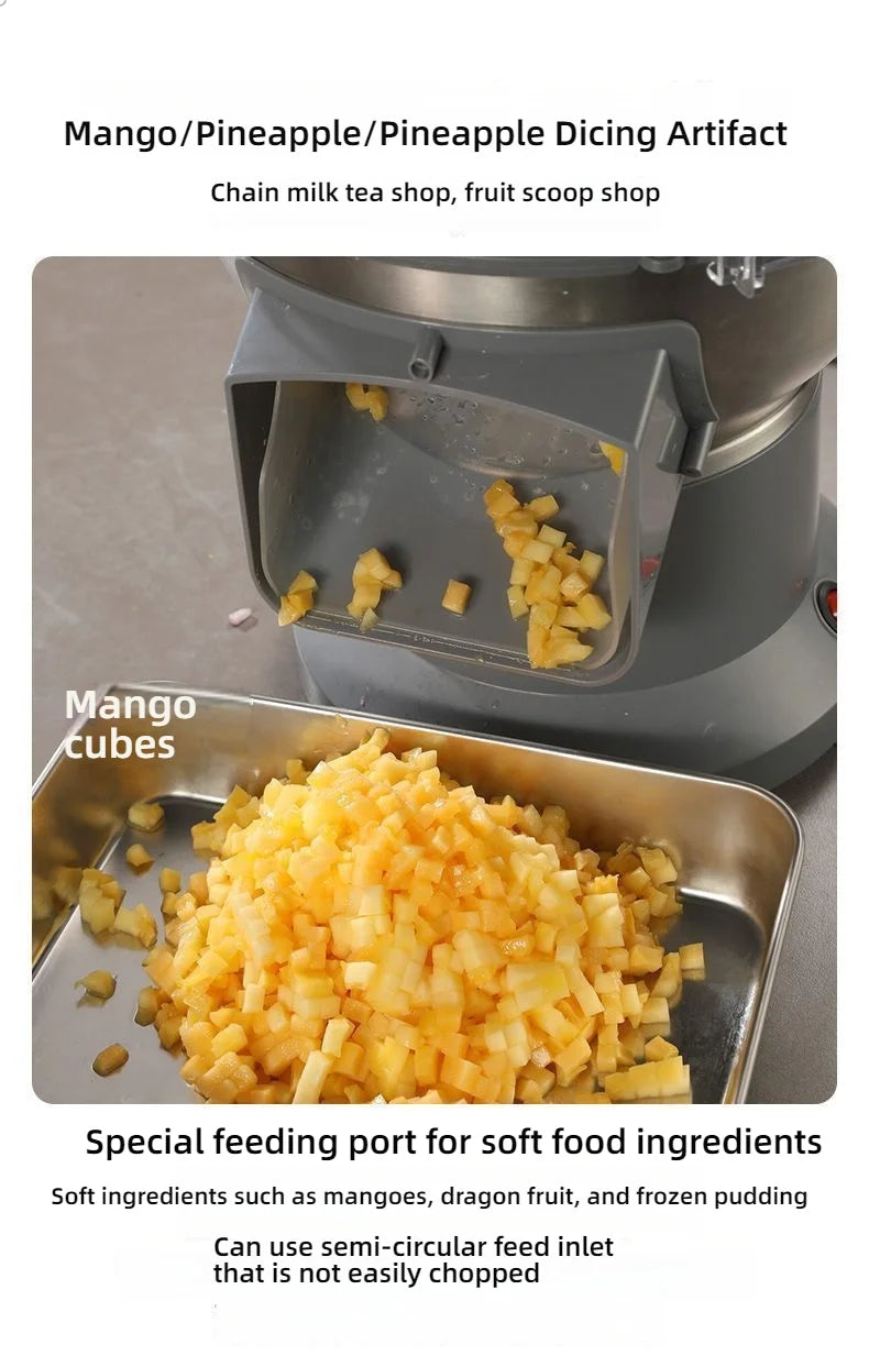 HomeWare M1 Multifunctional Vegetable Cutter & Food Processor – Cube, Shred & Slice, Large-Caliber Inlet