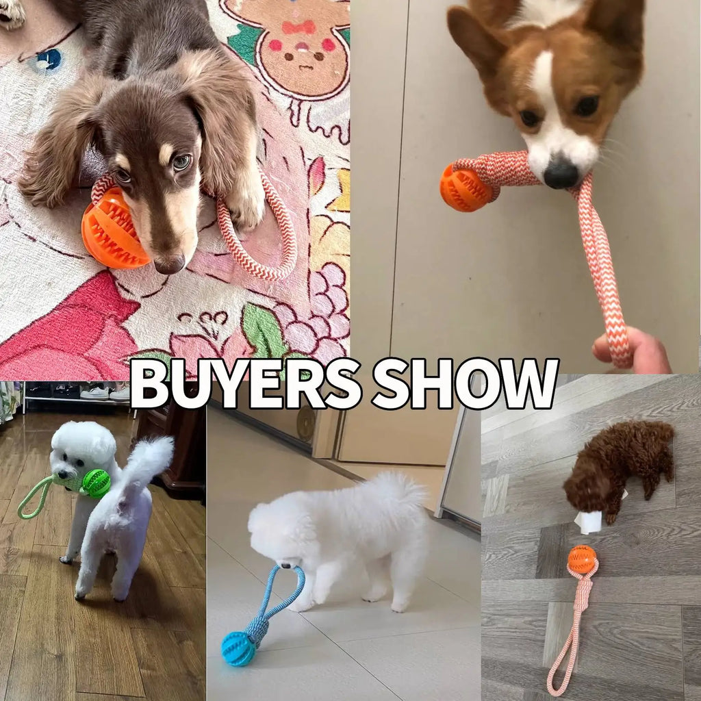 Treat-Dispensing Rope Ball Puzzle Toy for Dogs