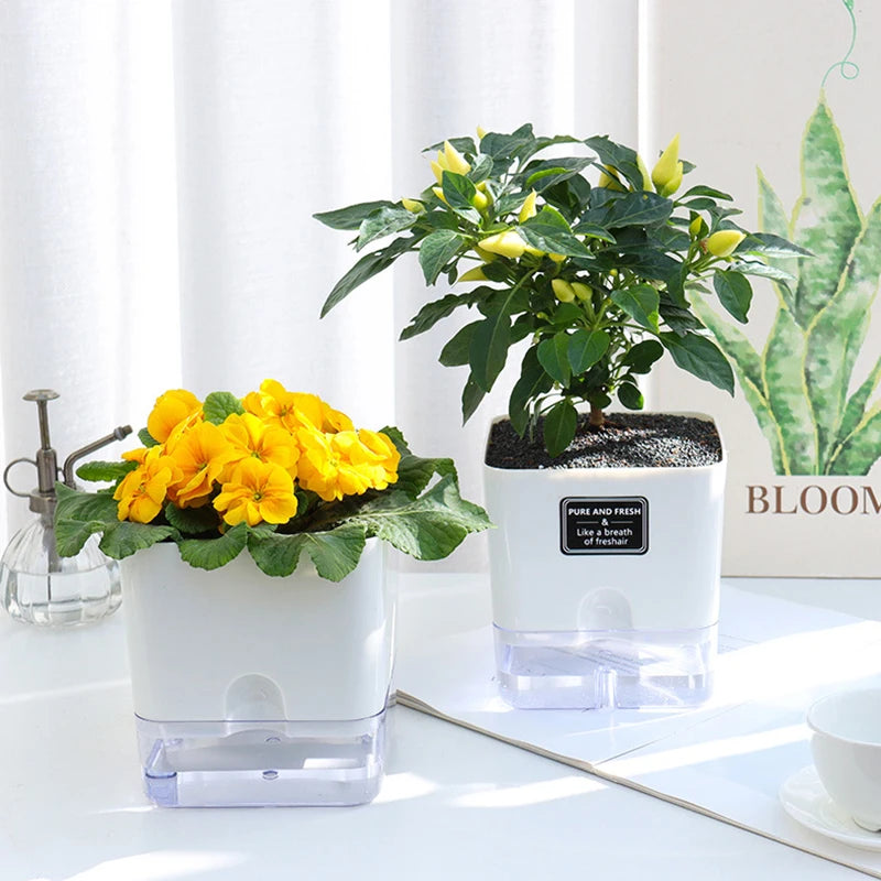 Double-Deck Self-Watering Planter Pot — Magnetic Plastic with Cotton Wick for Indoor & Garden Use