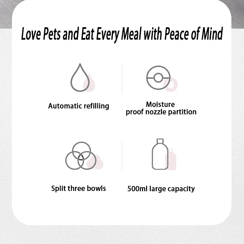 Non-Slip Stainless Steel Dog & Cat Food Bowl