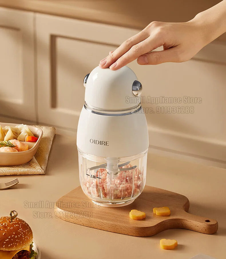 OIDIRE 150W Electric Meat Grinder & Food Chopper – 0.3L, Vegetable Cutter & Kitchen Processor (BFS3)
