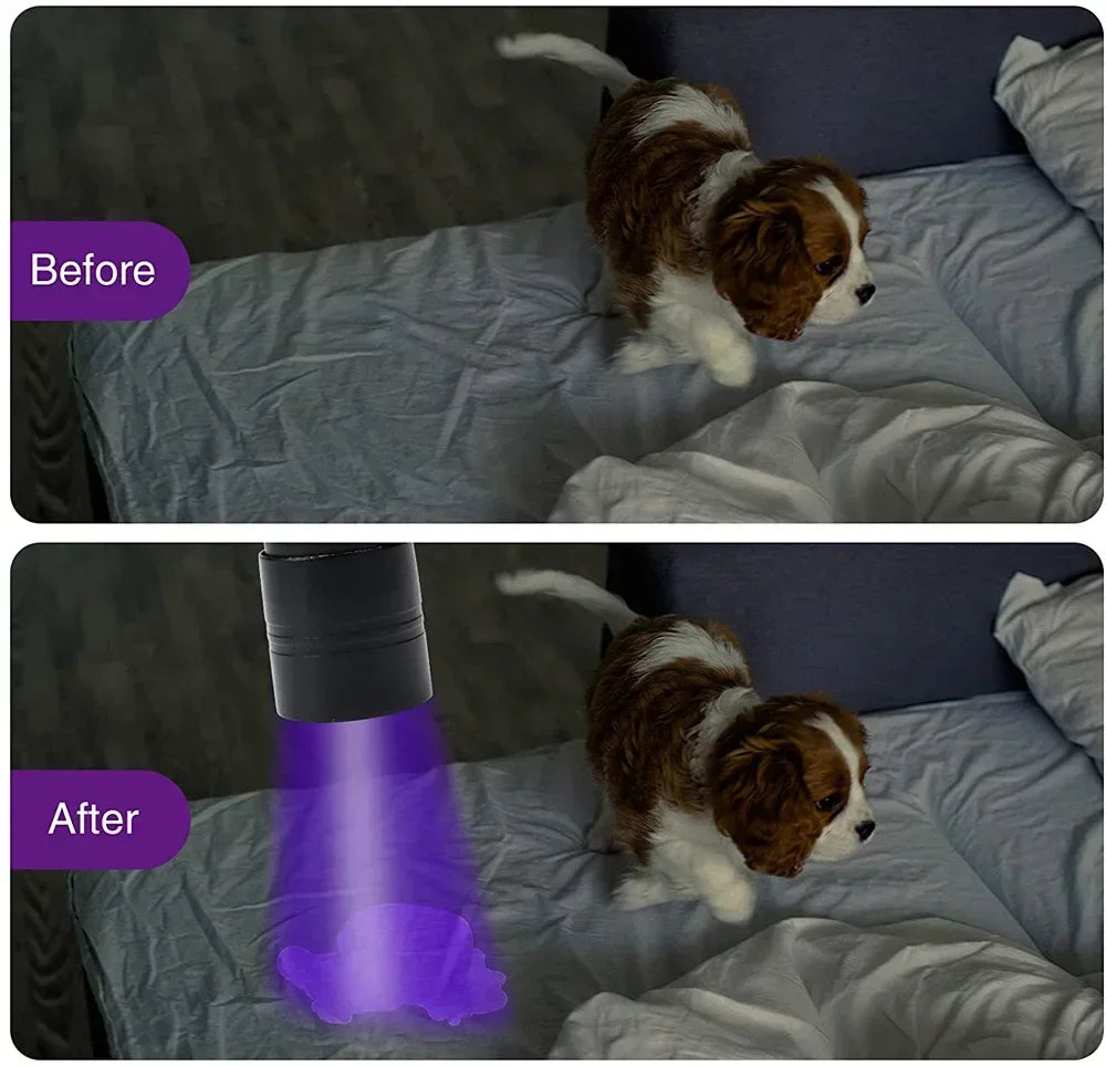 UV Blacklight Flashlight | 9/12 LED 395nm, Pet Urine & Stain Detector, Waterproof Aluminum, Batteries Not Included