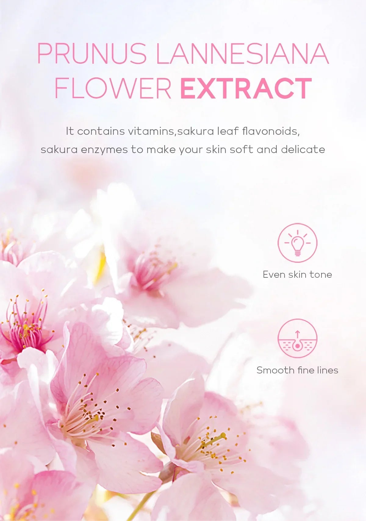 FENYI Cherry Blossom Exfoliating Peeling Gel – Deep Cleansing Facial Scrub & Skin Brightener