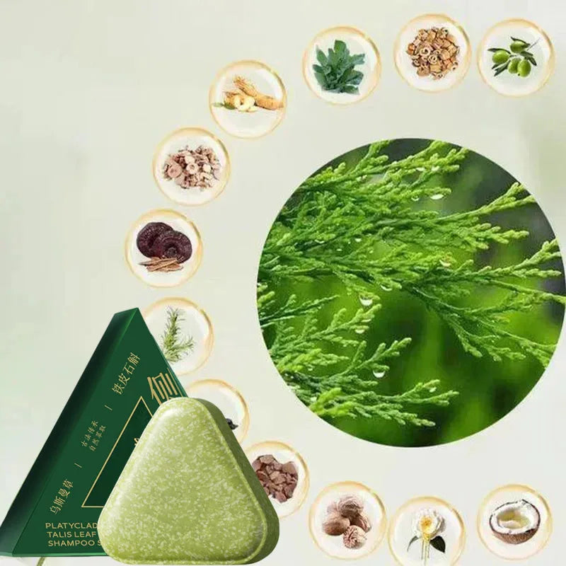Arborvitae & Usman Grass Shampoo Soap Bar – Anti-Dandruff, Hair Loss & Oil Control