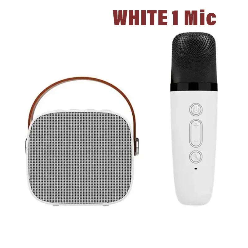 Wireless Dual Microphone Karaoke Machine — Bluetooth HIFI Speaker