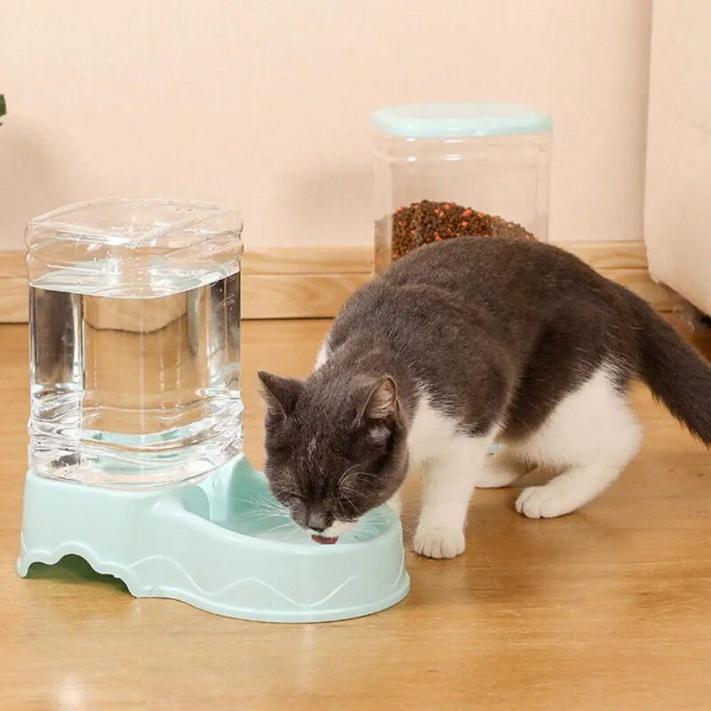 3.8L Automatic Pet Water Fountain & Food Dispenser