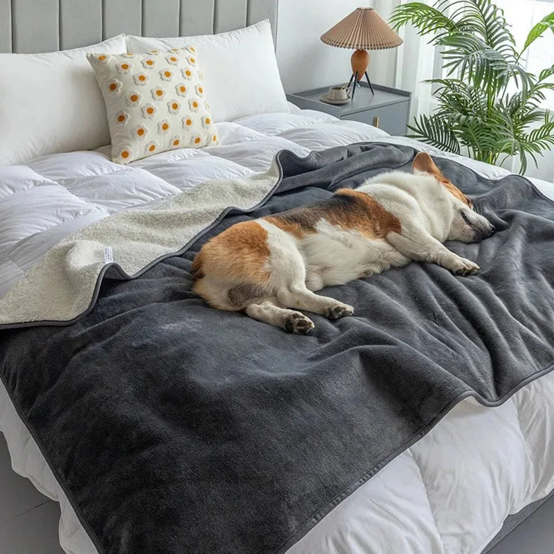 Waterproof Dog & Cat Blanket – Premium Puppy Blanket, Waterproof Pet Throw, Multiple Sizes
