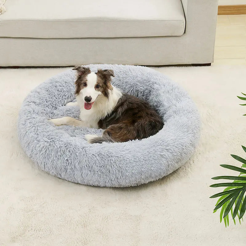 Soft Long Plush Dog Bed – Warm Basket Cushion for Small & Medium Dogs and Cats